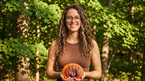 Le fascinant reishi (Ganoderma lucidum)