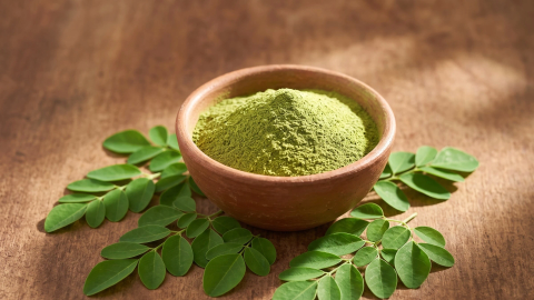 Moringa à huile  (Moringa oleifera)